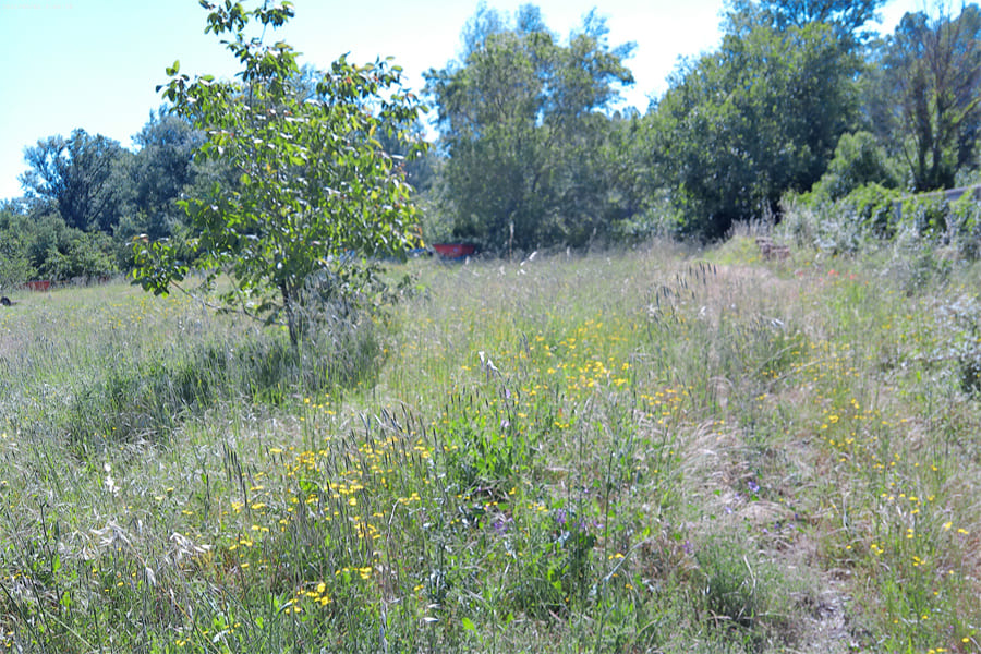 Terrain 800m² (400 m² constructible) au Poujols